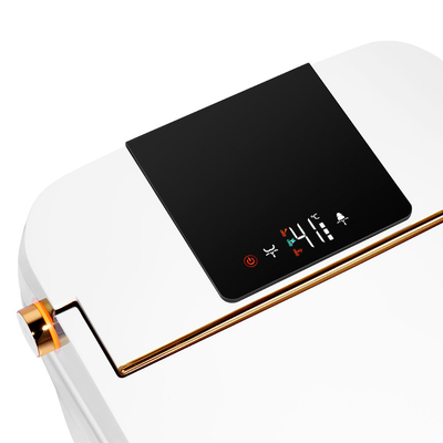 贅沢な浴室センサー電気自動同じ高さのWCのビデの理性的でスマートな洗面所
